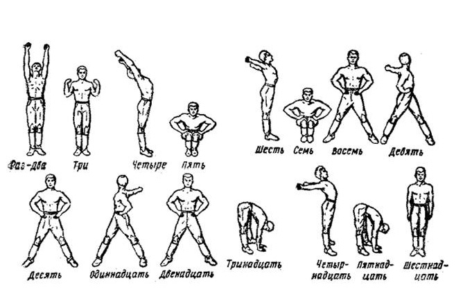 Комплексы вольных упражнений (№1, 2, 3) из НФП